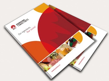 彩色畫冊印刷案例